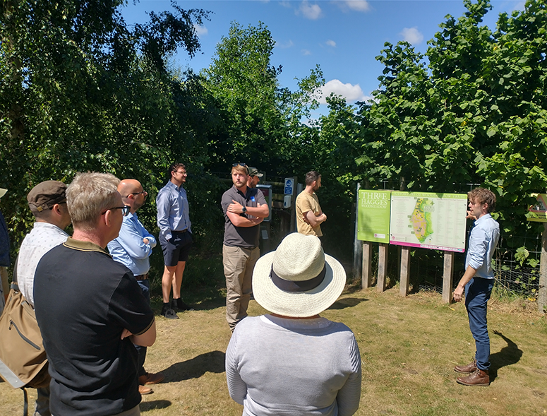 IMG 20220713 120251021 HDR resizedforweb