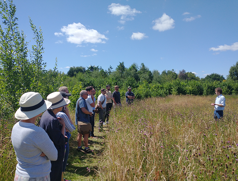 An image of a group of people listening to an outdoor lecture beside a meadow grass area