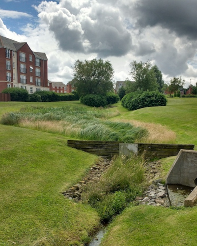 Grassy field and bushes nearby a residential area