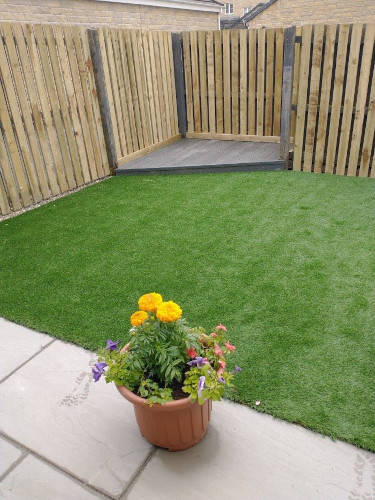 A fenced off backgarden with an orange, purple, and pink set of flowers in a pot