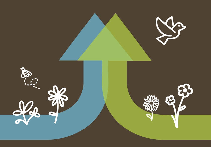 A graphic depicting a green and a blue arrow overlapping, sprouting white flowers